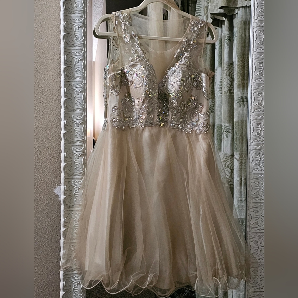 "My Dreams and More" short tan prom dress size 12